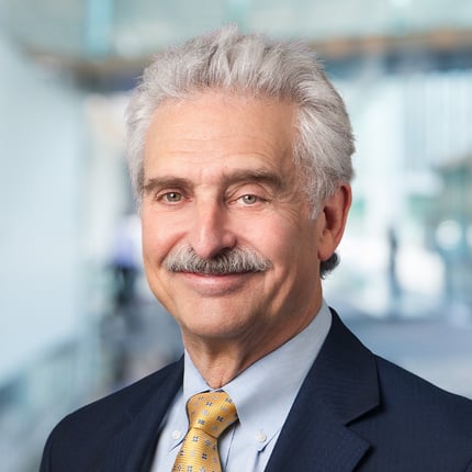 Portrait of Norman H. Levine