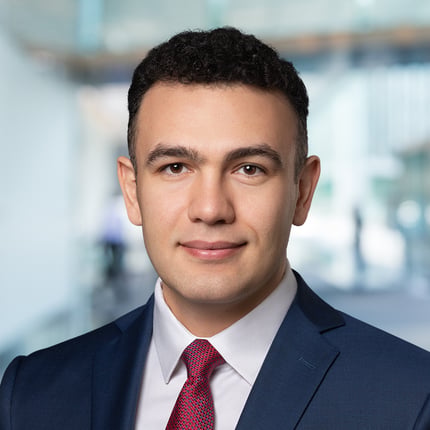 Portrait of Crist Malekyan