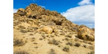 To Stalk Or Not To Stalk? — That is the Question in a 363 Sale