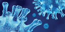 Happy New… COVID-19 Guidance to Employers Regarding Isolation and Quarantine Periods