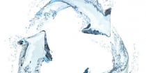State Water Board Approves Composting General Order