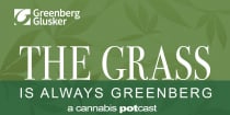 Is the Grass Greener? Weighing the Risks and Rewards of Celebrity Branding in the Cannabis Industry – The 2022 Cannalaw Summit: Part 1
