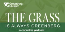 Cannabis and Bankruptcy Laws