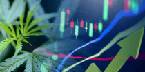 The Business of Cannabis