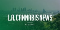 With Provisional Cannabis Licenses Ending in California, March 31 Deadline Has Applicants Scrambling