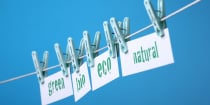 What is Greenwashing?