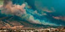 Wildfires and its Implications for Companies