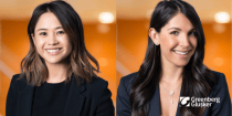 Pro Bono Corporate and Regulatory Work for Cannabis Social Equity Applicants