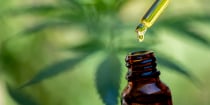 Emergency Regulations Issued Banning Intoxicating CBD and Hemp Products in California: Enforcement and Legal Challenges