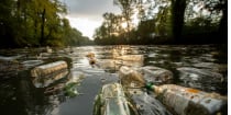 Federal Agencies Propose Rule to Rescind the Definition of “Harm” Under the Endangered Species Act
