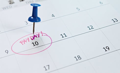 Spring Awakening:  In Preparation for Upcoming Pay Data Reporting Deadline, Employers Look to New State Guidance to Get Their Ducks in Row.